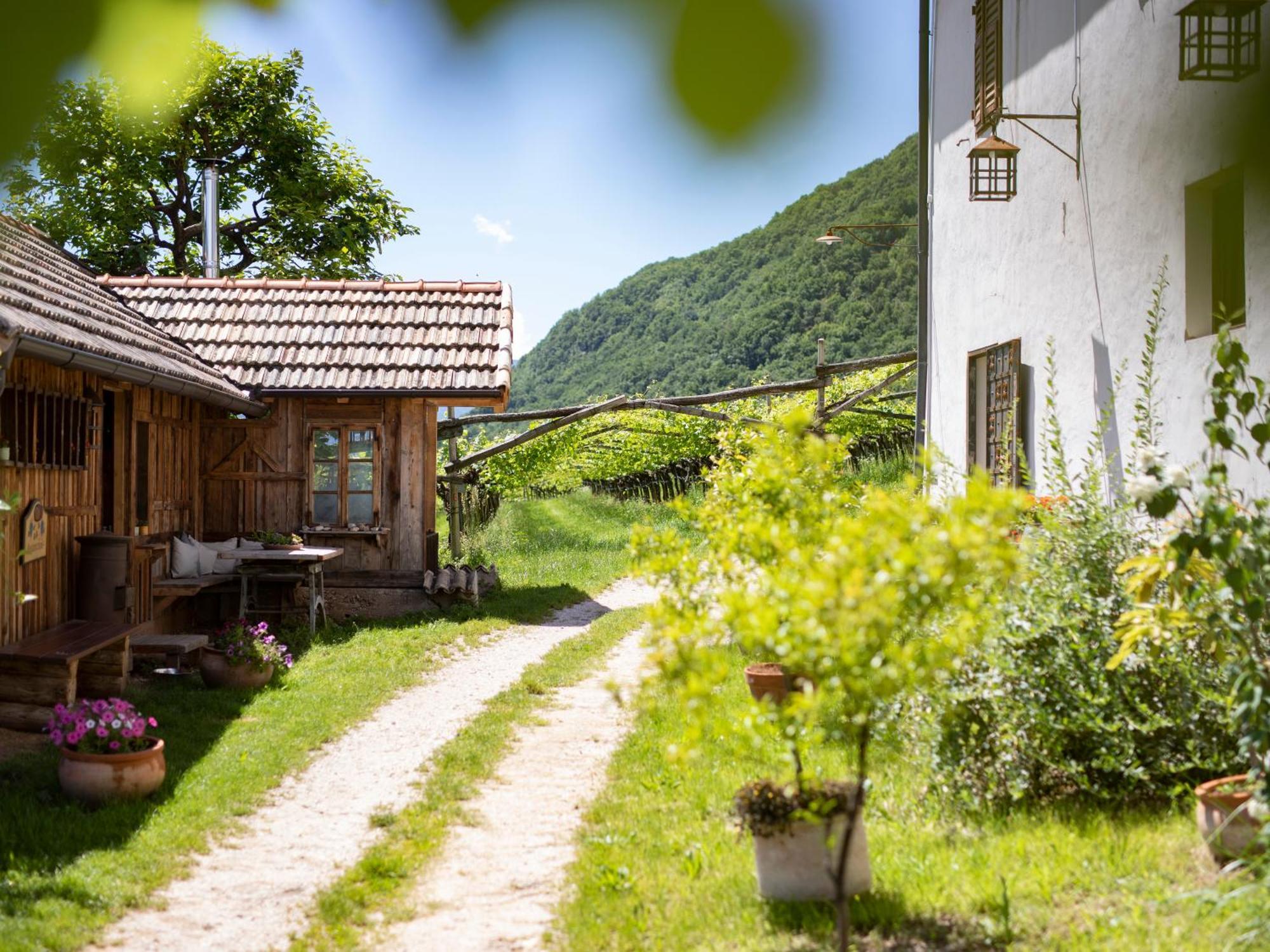 Ferienwohnung Arzenhof, Baron Di Pauli Kaltern Exterior foto