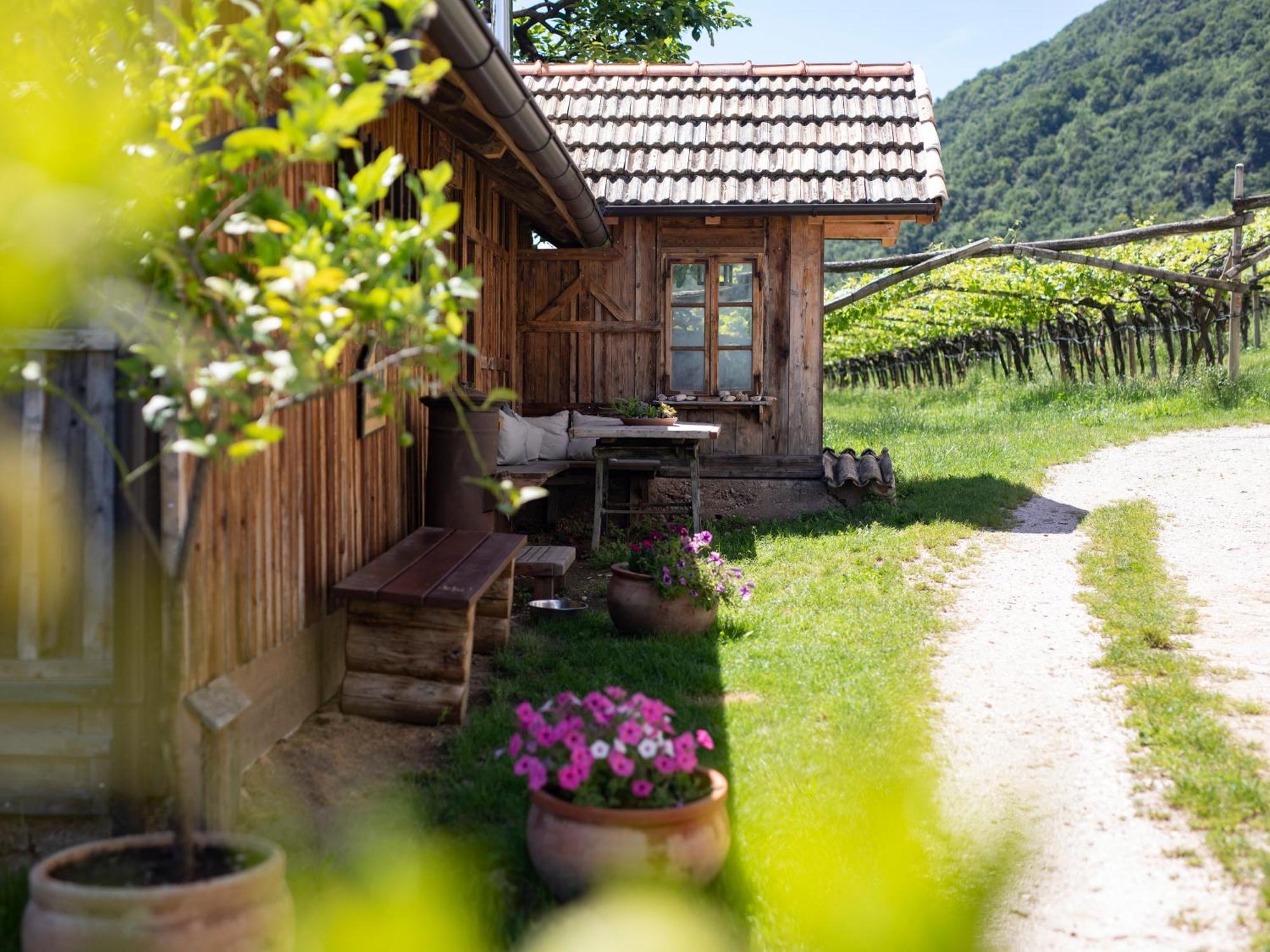 Ferienwohnung Arzenhof, Baron Di Pauli Kaltern Exterior foto