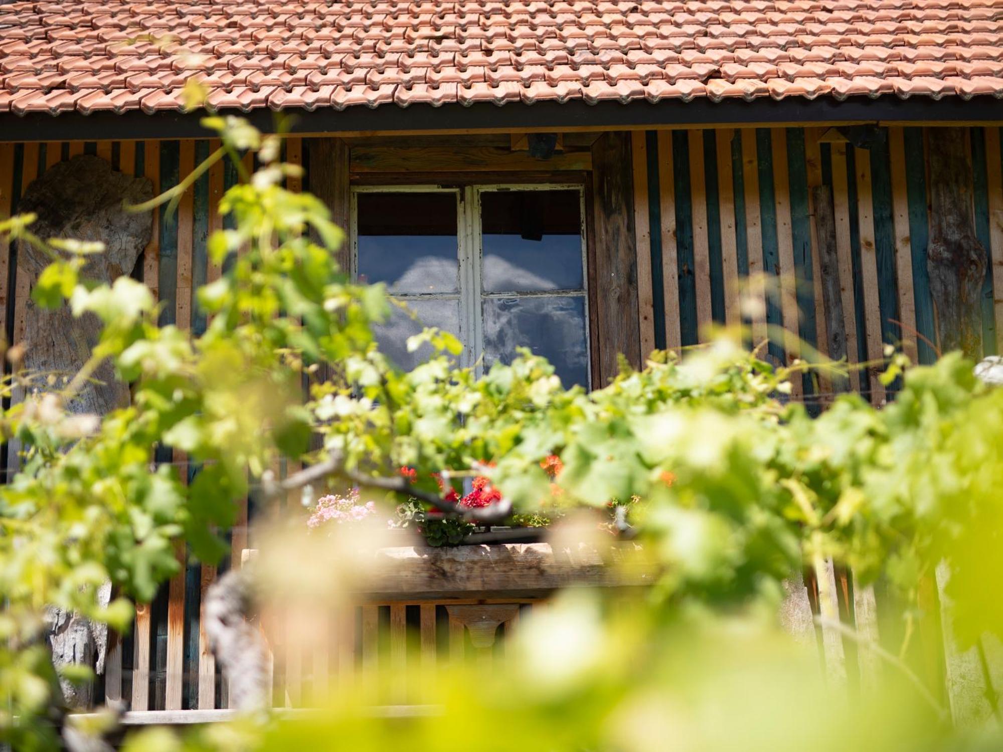 Ferienwohnung Arzenhof, Baron Di Pauli Kaltern Exterior foto
